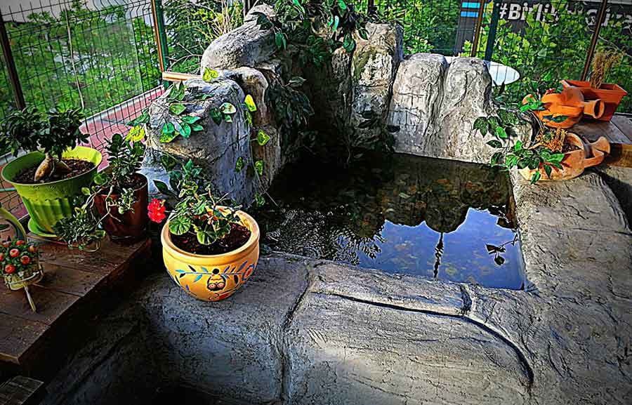 Salsa Ankara Dans Akademisi - Ankara Zumba